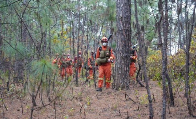 1672722911737212.png image.png