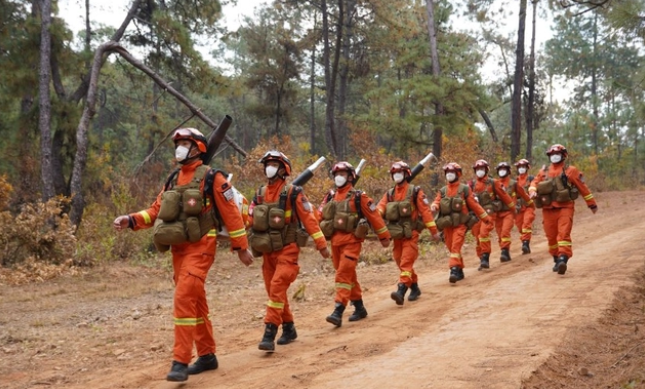 1672722943247896.png image.png